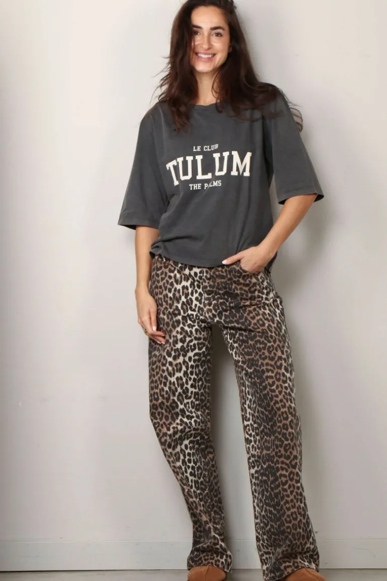 Raiine Shirt - Ripa - Grey
