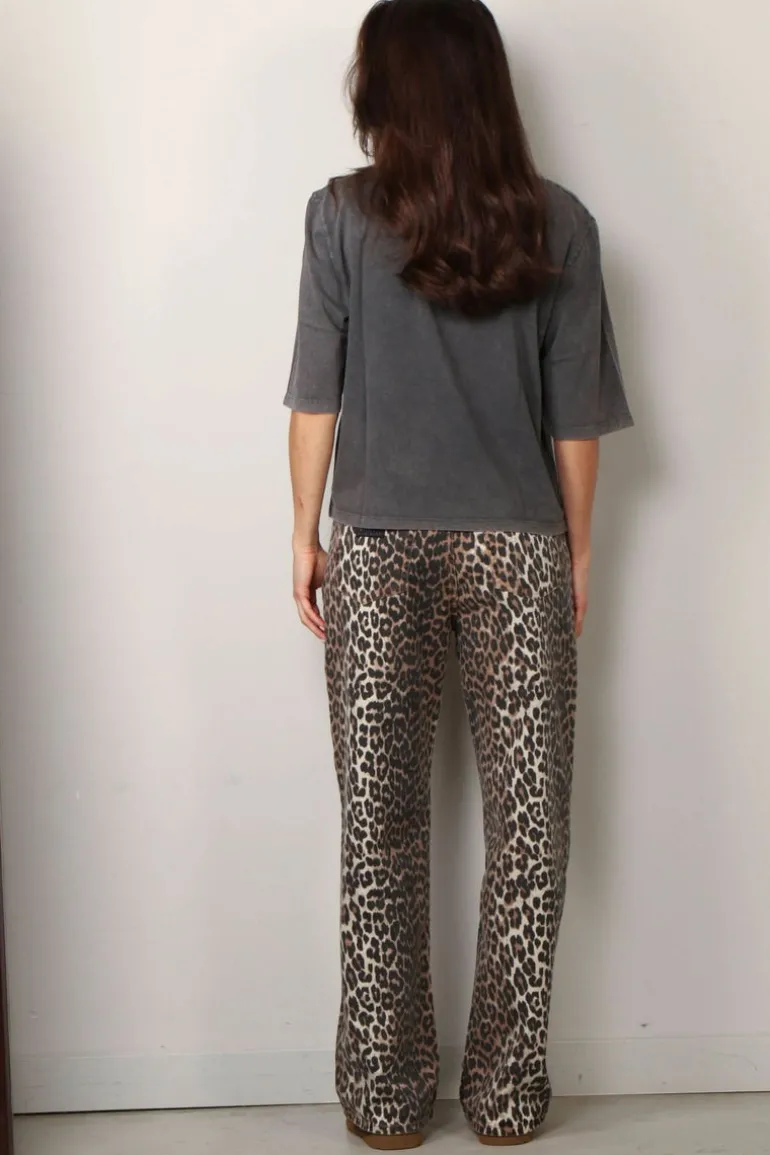 Raiine Shirt - Odeya - Grey