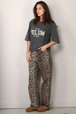 Raiine Shirt - Ripa - Grey