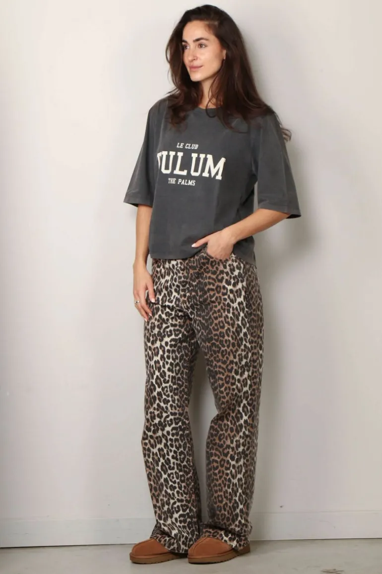 Raiine Shirt - Ripa - Grey