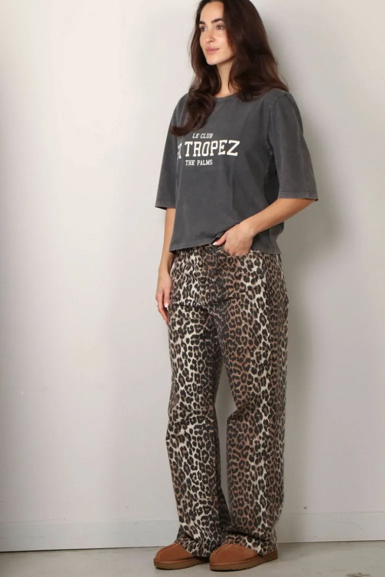 Raiine Shirt - Odeya - Grey