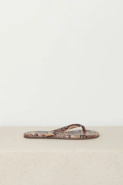 TKEES Slippers - Studio Exotic - coco snake